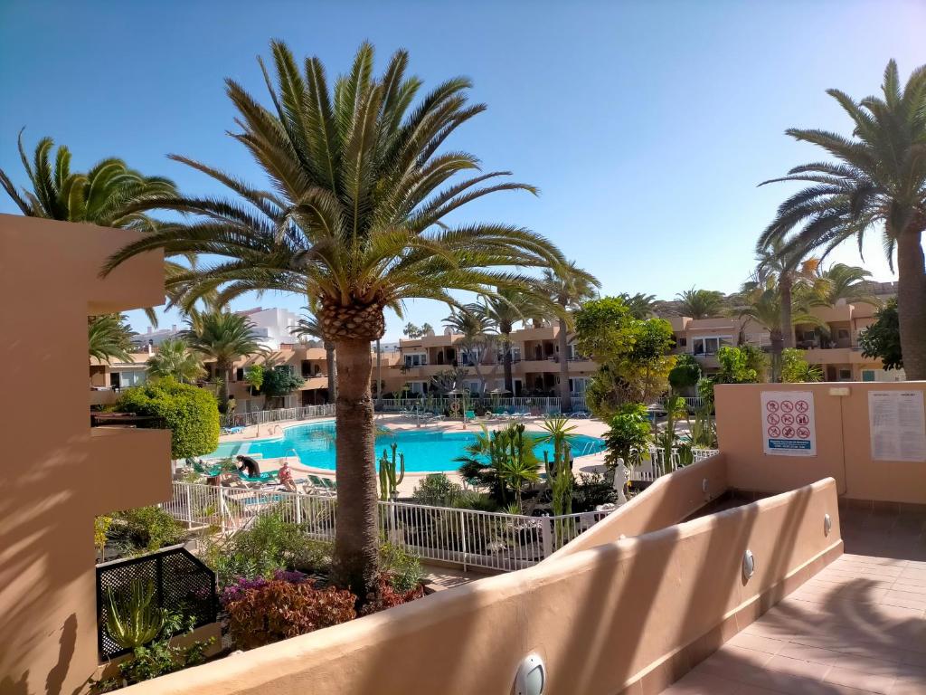 Apartamento Las Vistas 3 - 4
