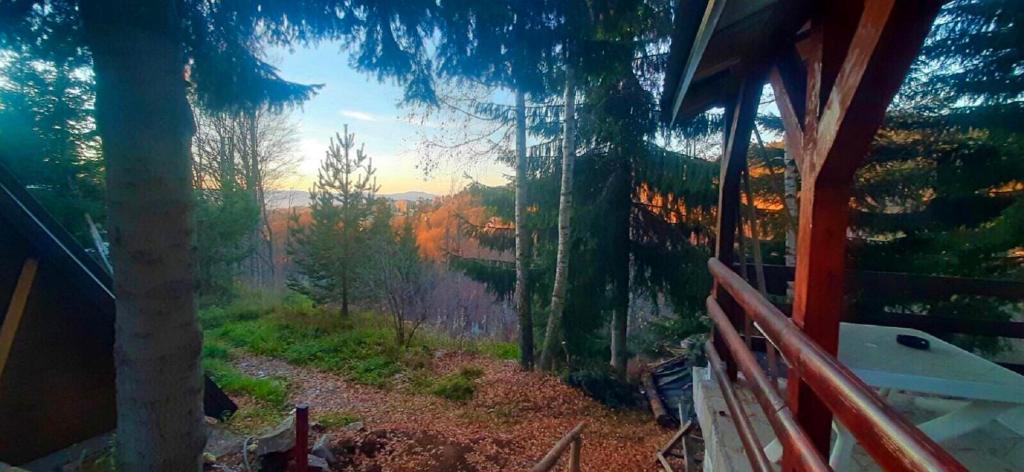 Sova Kopaonik - 2