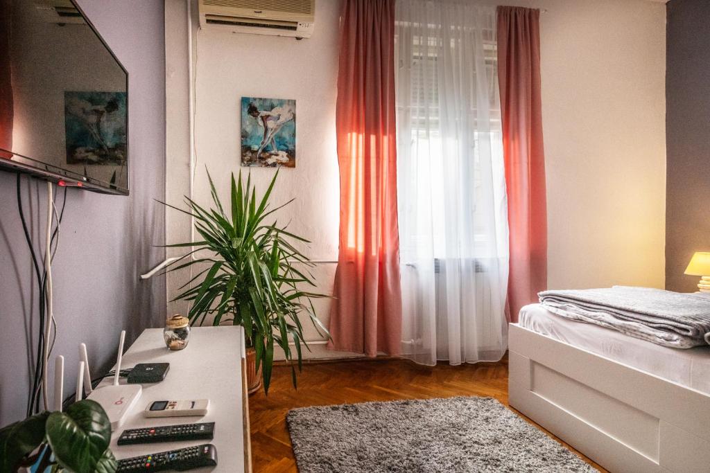 Neimar Apartment with Great Wi-Fi and free parking - 4
