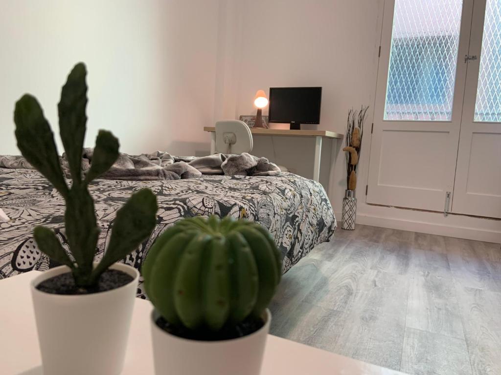 CoLiving El Toro - 2