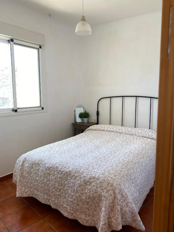 Casa Alma - 3