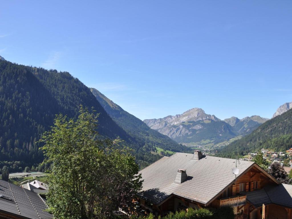 Appartement lumineux 2 chambres, proche télécabine, centre-ville Châtel - FR-1-693-31 - 3