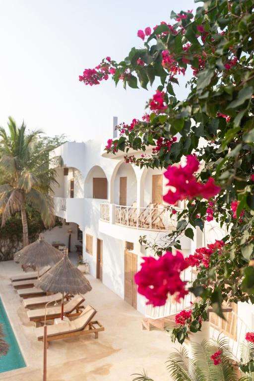 Casa Louka photo