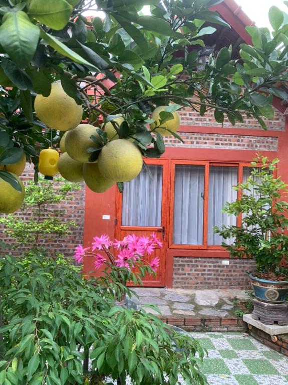 Tam Coc Family Homestay — Hotel in Ninh Bình