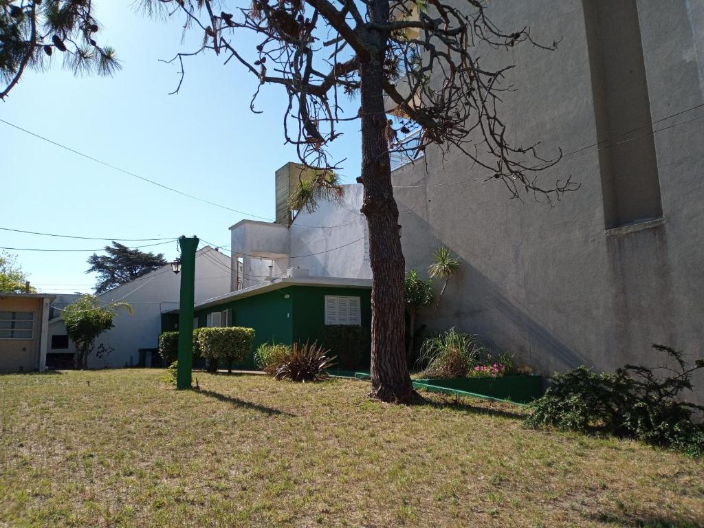 Casa tres ambientes con jardín y estacionamiento - 3