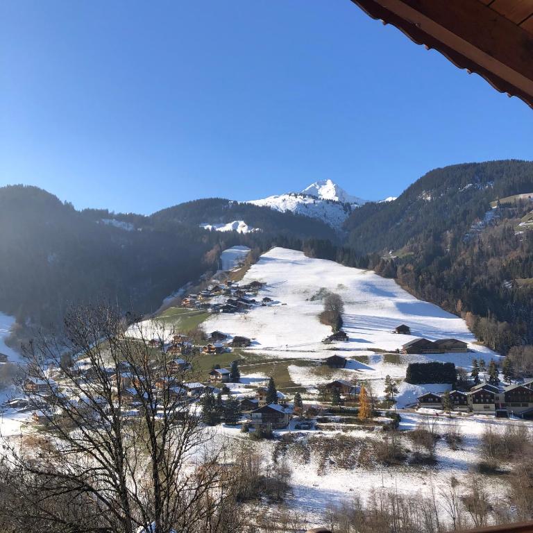 Appartement lumineux avec balcon à Arêches Beaufort - 2