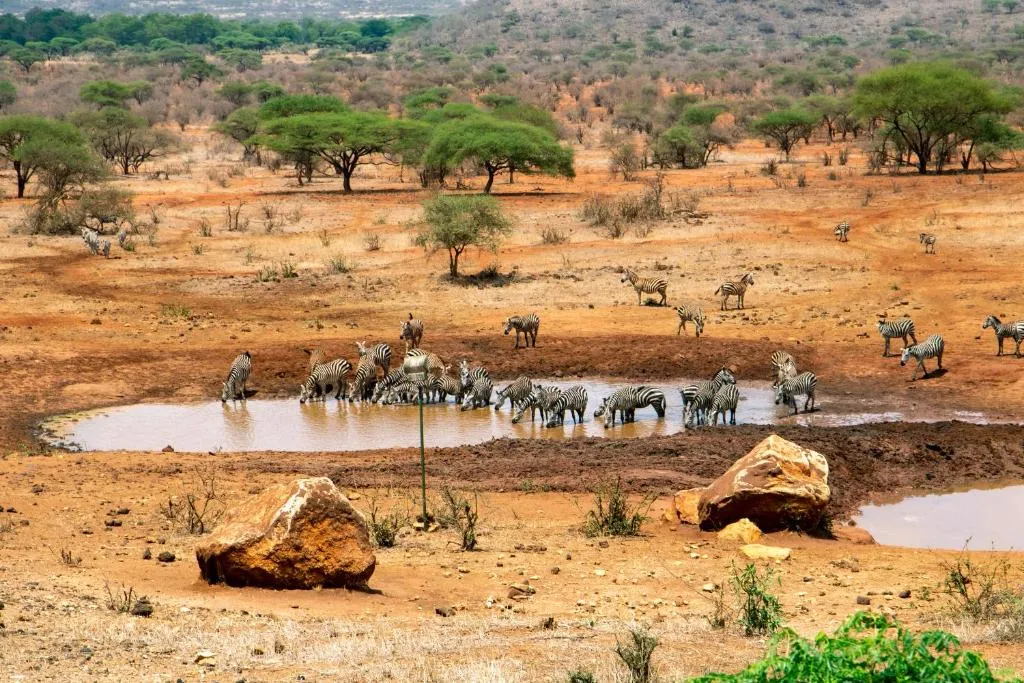Kilaguni Serena Safari Lodge, hotel in Tsavo