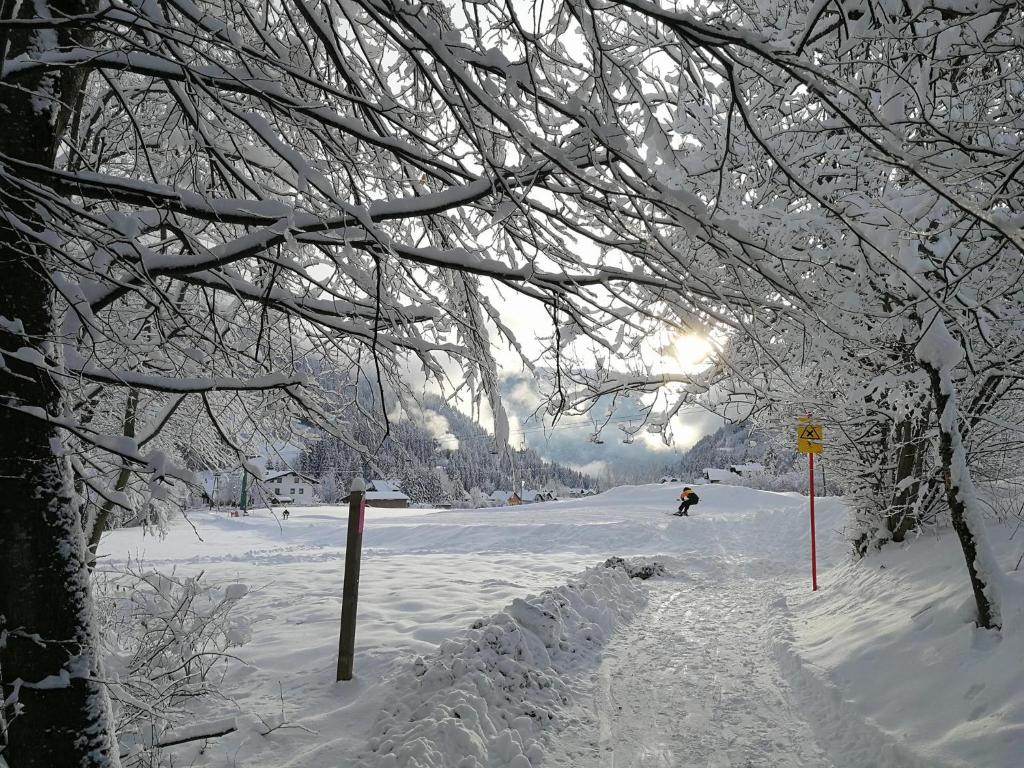 Ferienwohnung Südblick - 4