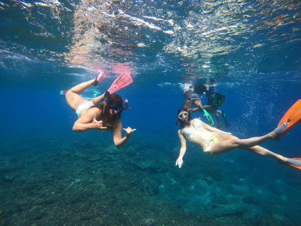 Lebaoh Nusa Cottage photo