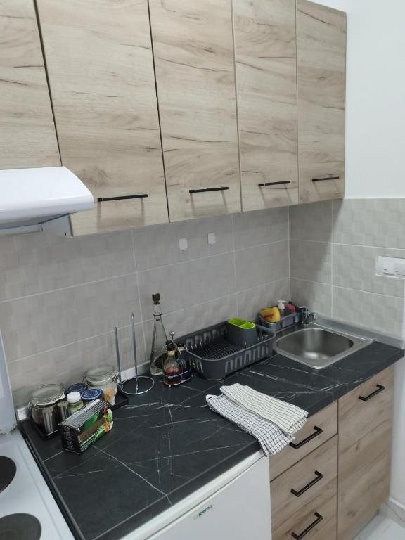 Apartman Anastasija Divcibare - 2