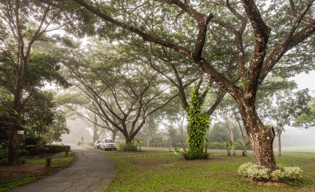 Surrounding environment