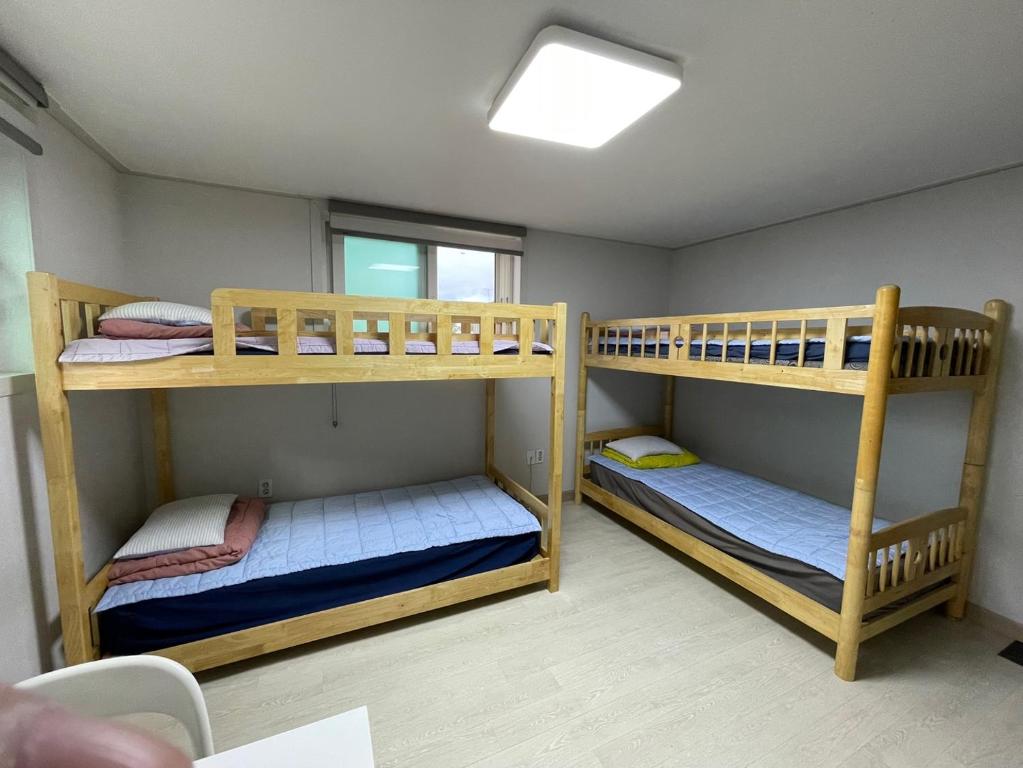 Twin Rabbit Guesthouse photo
