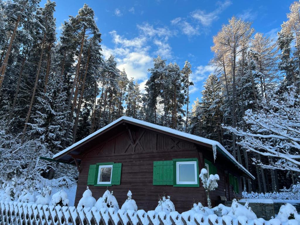 Waldchalet am Eichhof - 3