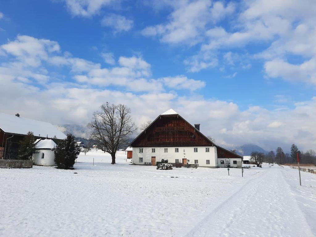 Pilznerhof - 2