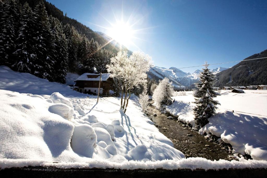 Aparthotel Dorfplatzl Garni Apartments & B&B - 2