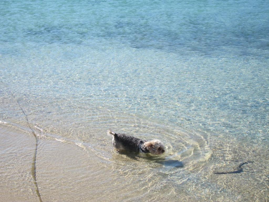 Aggeliki's Diamond photo