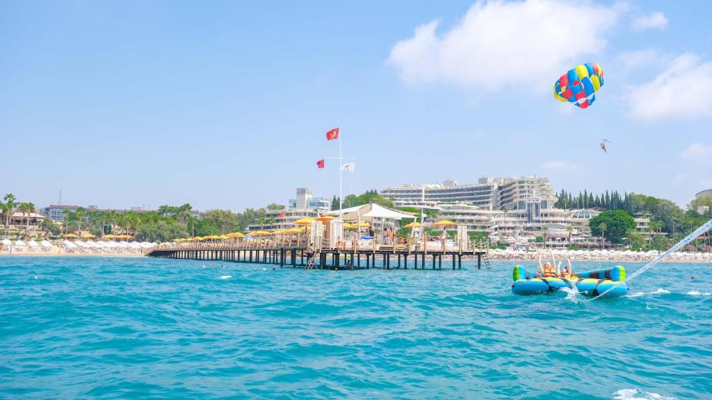 アクティビティ