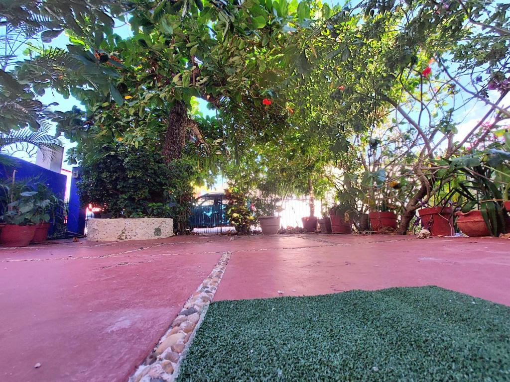 Exclusive Villa Pichi - 4