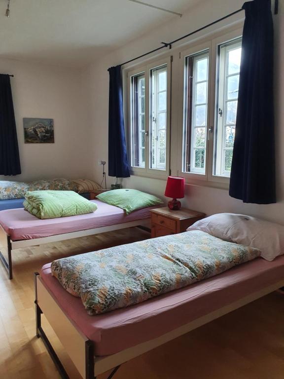 Zentral gelegene Wohnung mit grossem Garten - 5