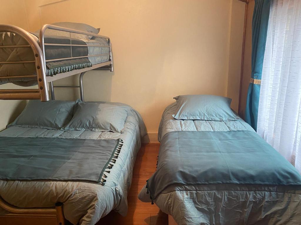 Apartamentos Patagonia Dove - 5