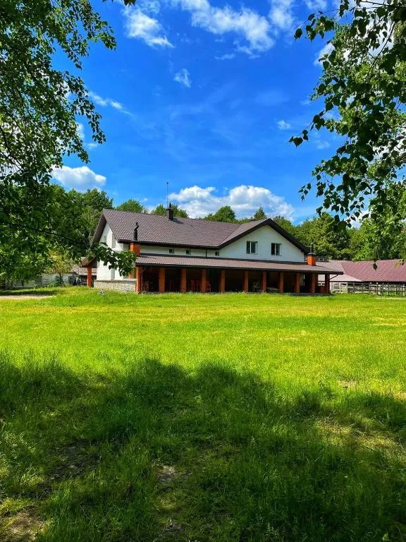 Садиба Бабина Лоза, hotel in Lisove