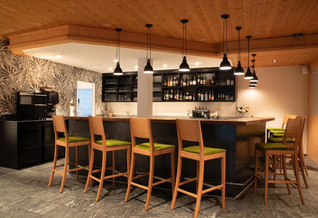Hotel Alpina — Hotel in Schiers