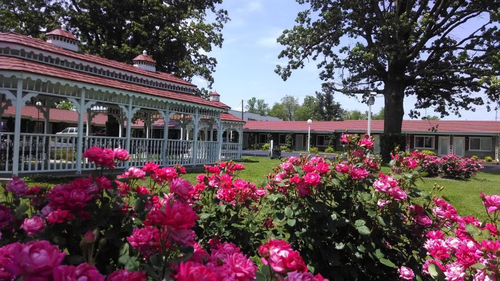 Murray Plaza Lodge photo