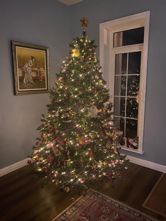 Seven Oaks B&B photo