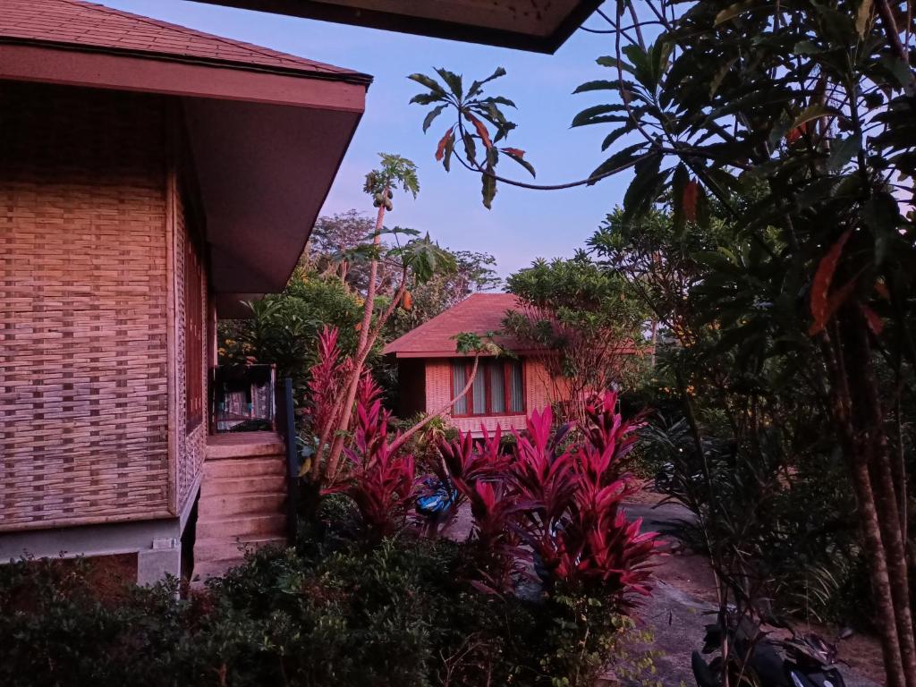 The mantra resort photo