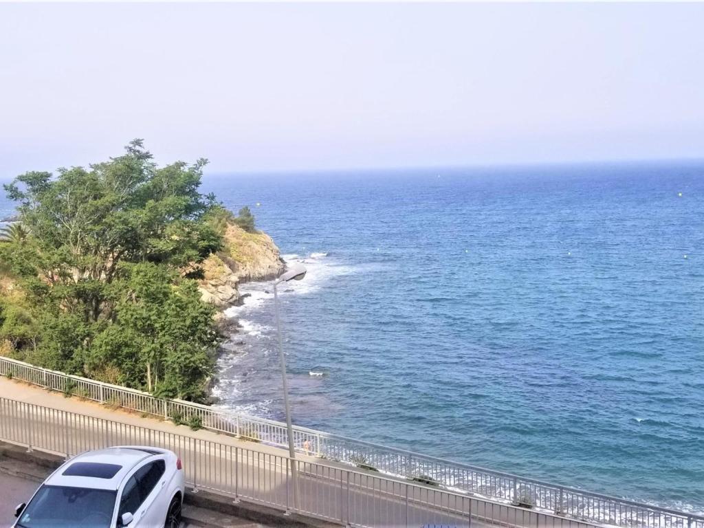 BANYULS-SUR-MER : Appartement T3 climatisé, proche plage - FR-1-309-281 - 2
