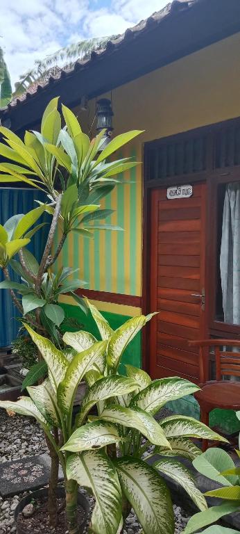 Agung Pring Homestay