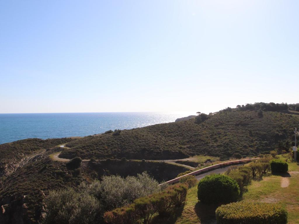 Banyuls-sur-Mer T2 avec terrasse et WIFI - FR-1-309-259 - 2