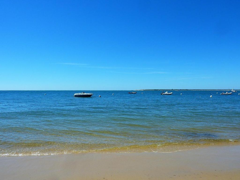 Arcachon - Studio lumineux avec balcon et WIFI, proche plage - FR-1-420-97 - 3