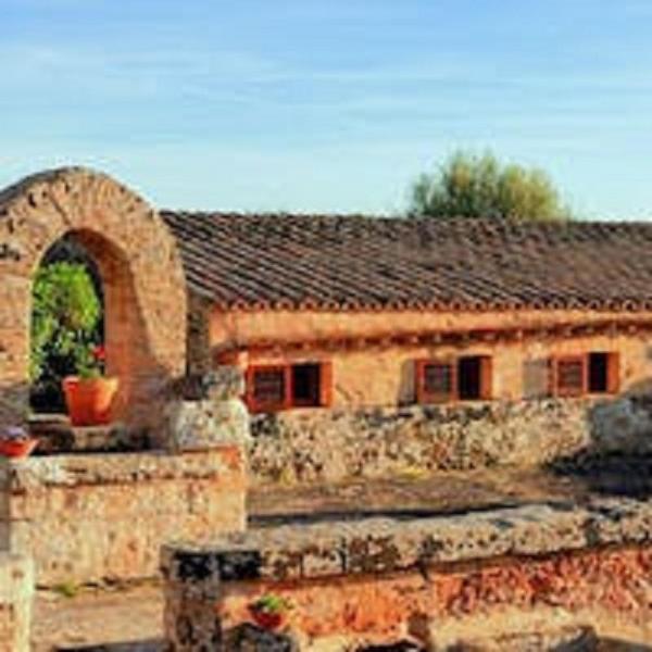 Finca Son Sureda Agroturismo photo