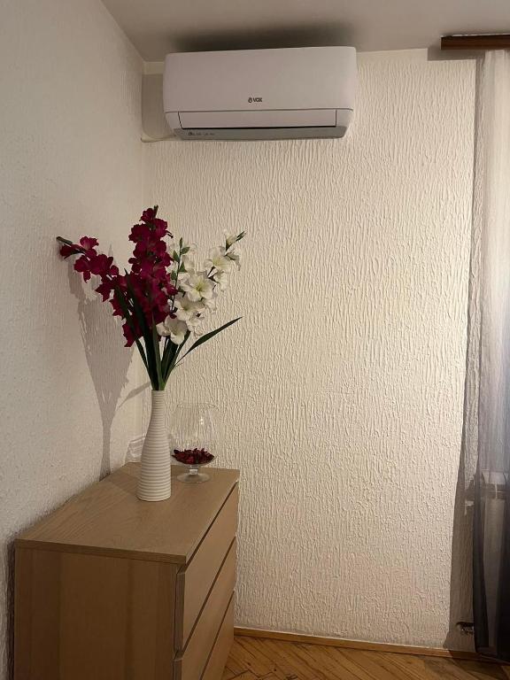 Apartman Nikola - 5