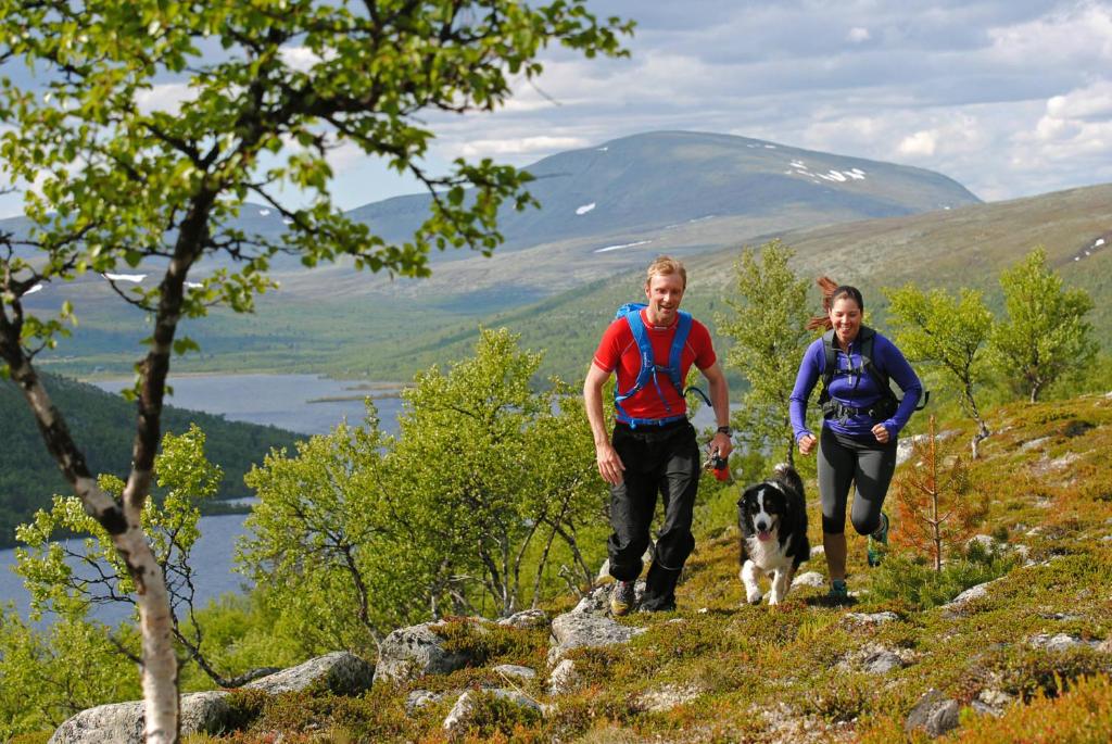 STF Grovelsjon Fjallstation & Hotell photo