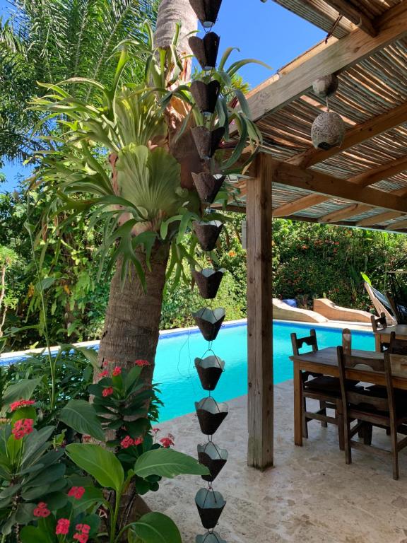 Surrounding environment