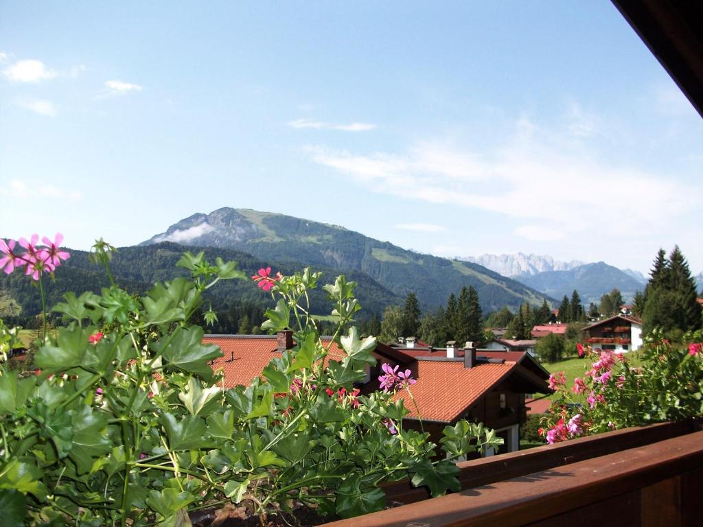 Alpenblick - 4