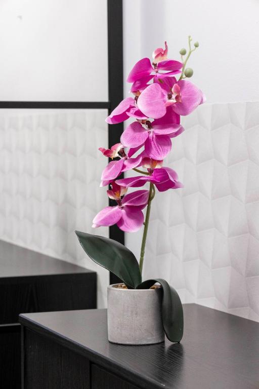 ClickTheFlat Constitution Square Apart Rooms 전경
