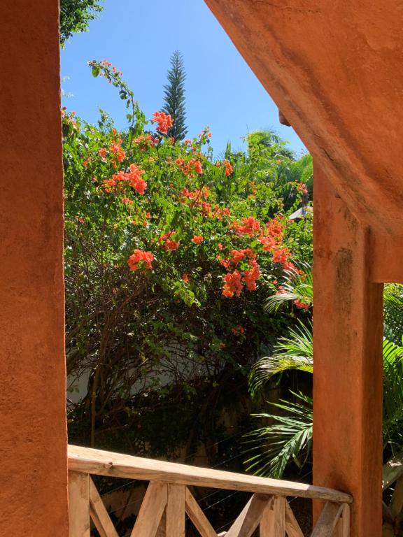 Surrounding environment