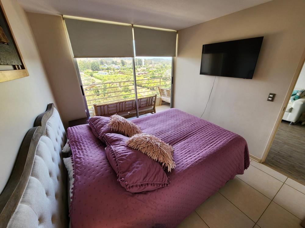 HERMOSO DEPARTAMENTO ALGARROBO NORTE - 4