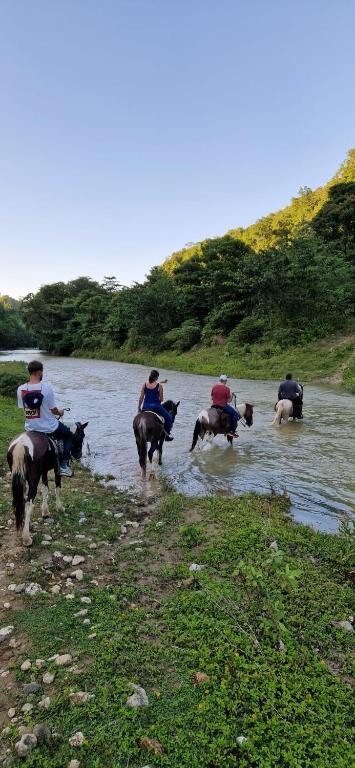 Surrounding environment