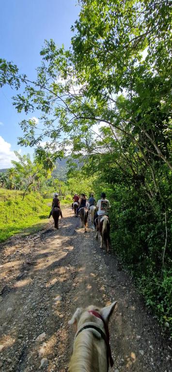 Surrounding environment