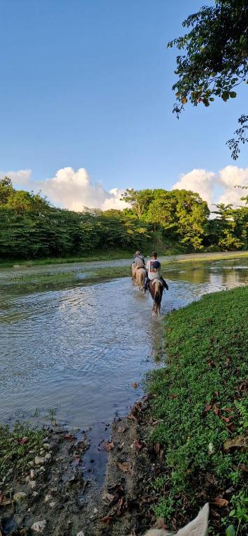 Surrounding environment