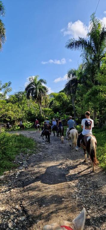 Surrounding environment