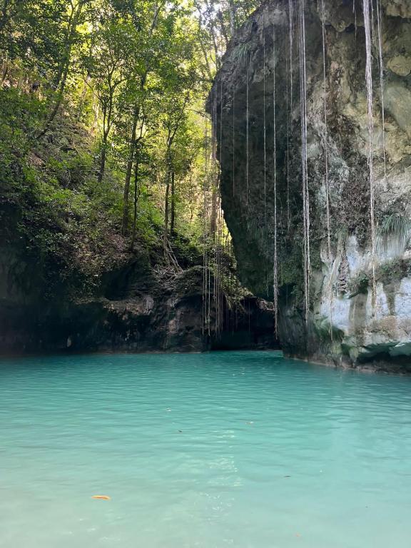 Surrounding environment