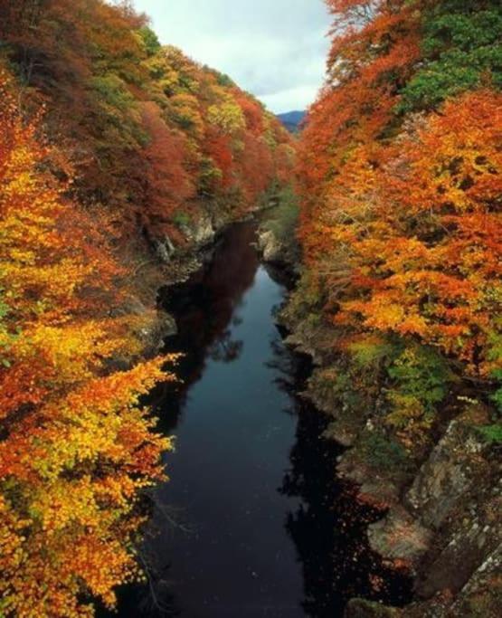 Riverside Lodge, Killiecrankie photo 6
