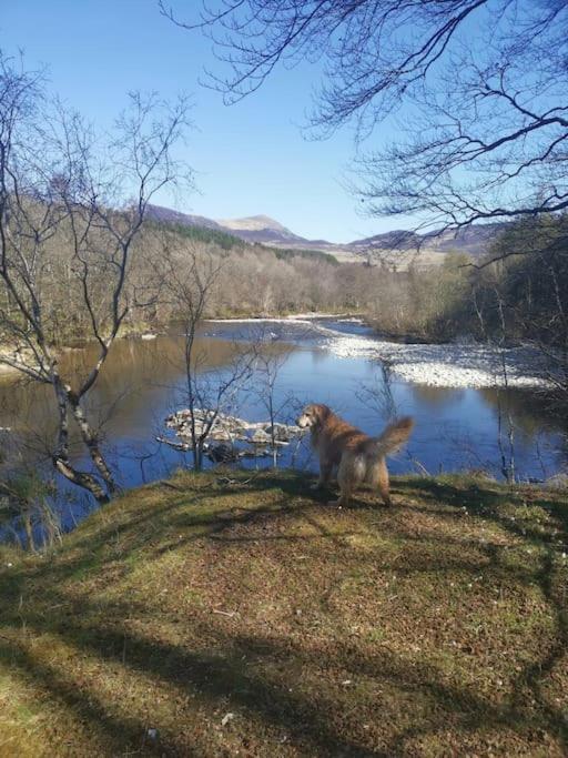 Riverside Lodge, Killiecrankie photo 8