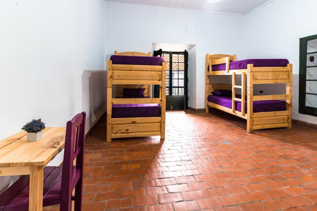 Dragonfly Guest House - 3