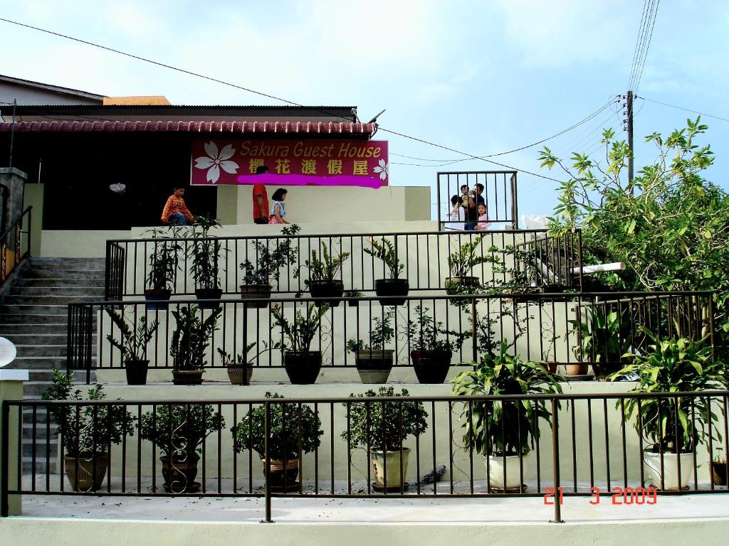 Sakura Guest House — Hotel in Cameron Highlands